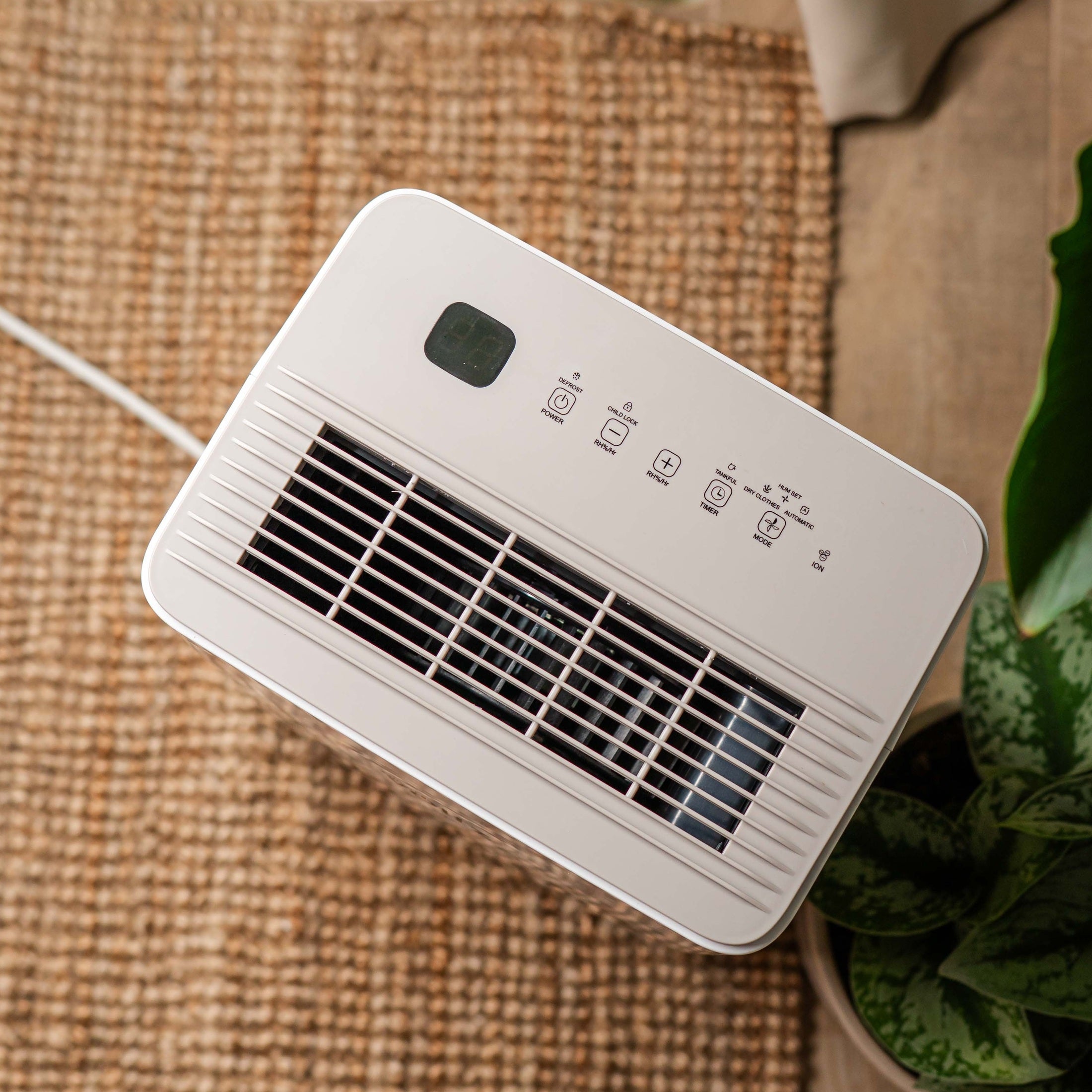 Dezumidificator Oliver Voltz - eficiență și confort