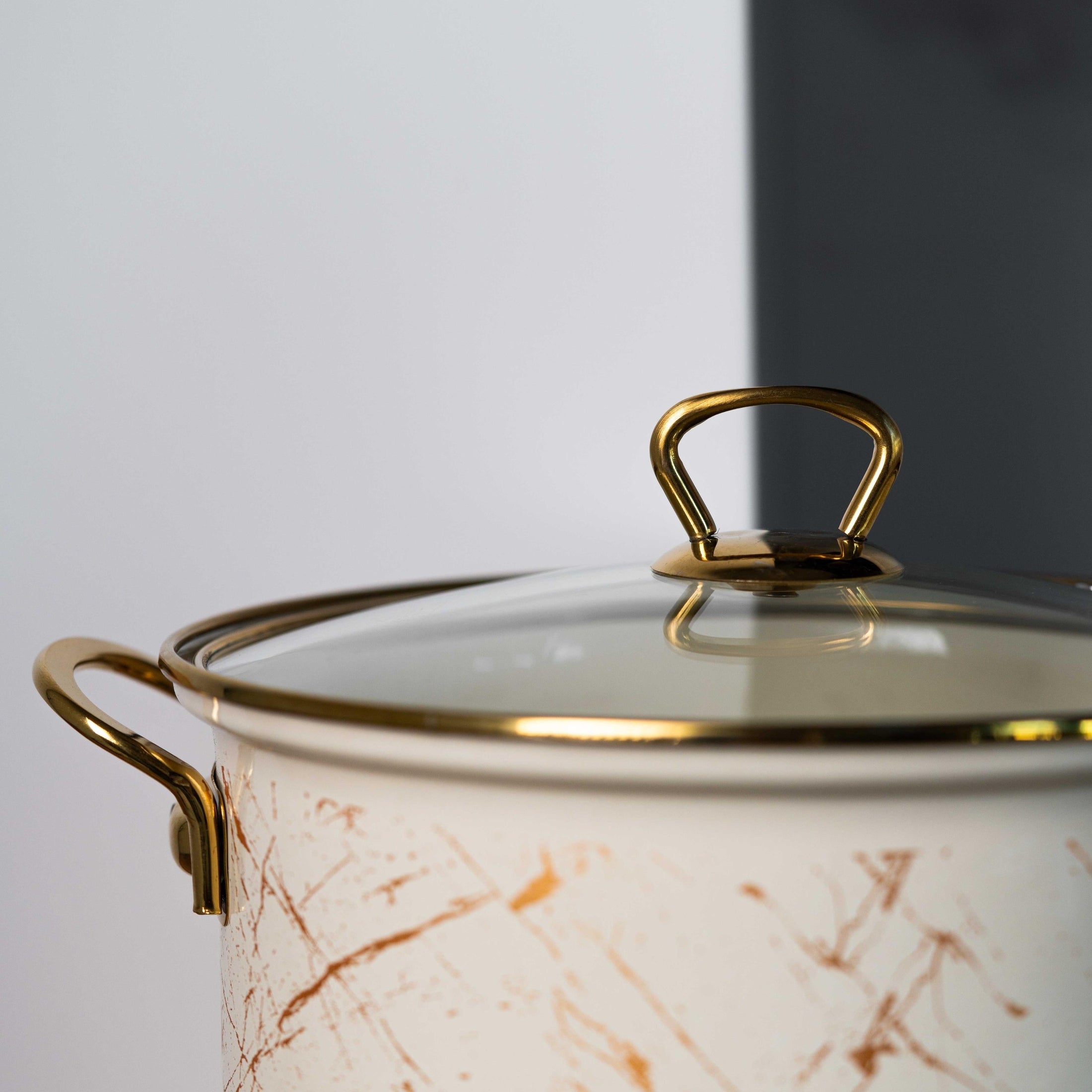 Oala emailată cu mânere titan, 22x18cm, capac 6L