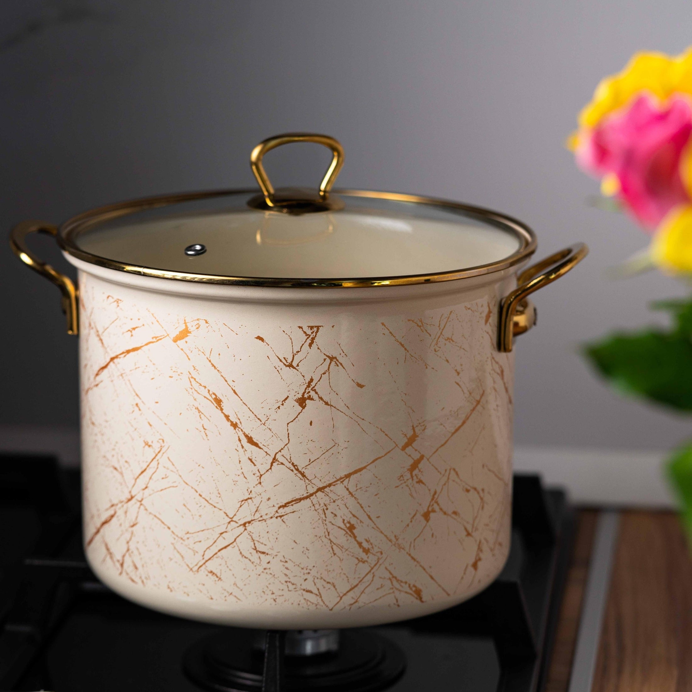 Oala emailată cu mânere titan, 22x18cm, capac 6L