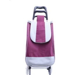 Carucior cumparaturi plastic, cadru metalic 95x35x20 cm